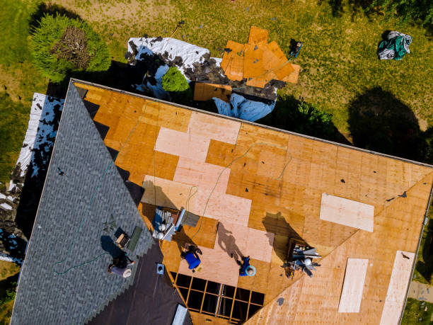 Best Storm Damage Roof Repair  in Ashdown, AR